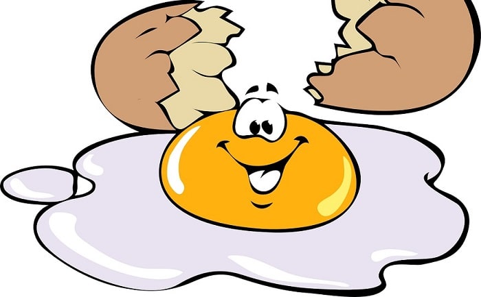 Can cats eat scrambled eggs? - PetSchoolClassroom