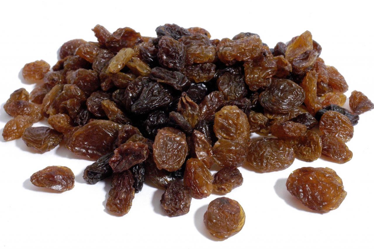 Can dogs eat raisins - PetSchoolClassroom