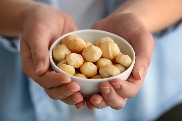 Can dogs Eat Macadamia Nuts? - dog Website
