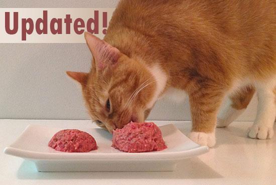 Feline Nutrition's Easy Homemade Cat Food Recipe