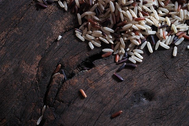 Can Birds Eat Rice? (Cooked & Uncooked) | Bird Feeder Expert
