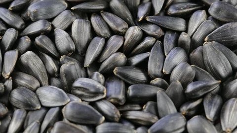 Sunflower Seeds Seeds Close Up. Stock Footage Video (100% Royalty-free) 21022558 | Shutterstock