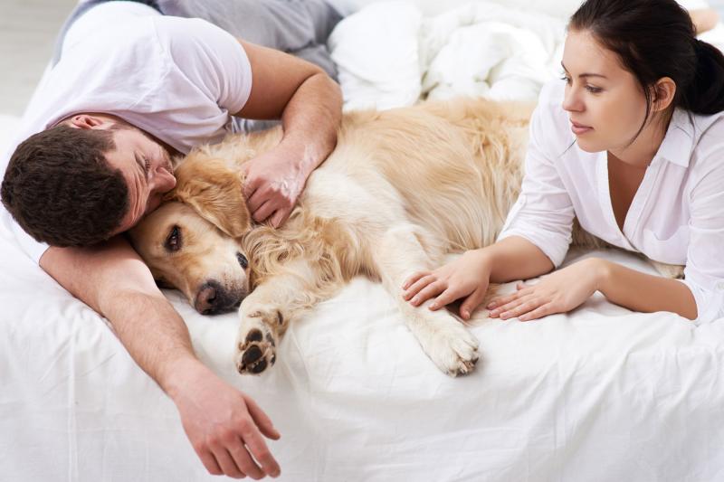 How to Recognize a Dying Dog in the Final Moments | LoveToKnow