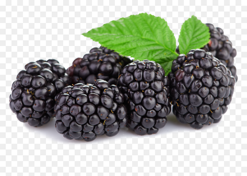 Blackberries Png, Transparent Png - vhv