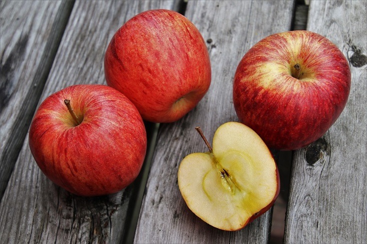 Can dogs Eat Apples? What You Need to Know! | Pet Keen