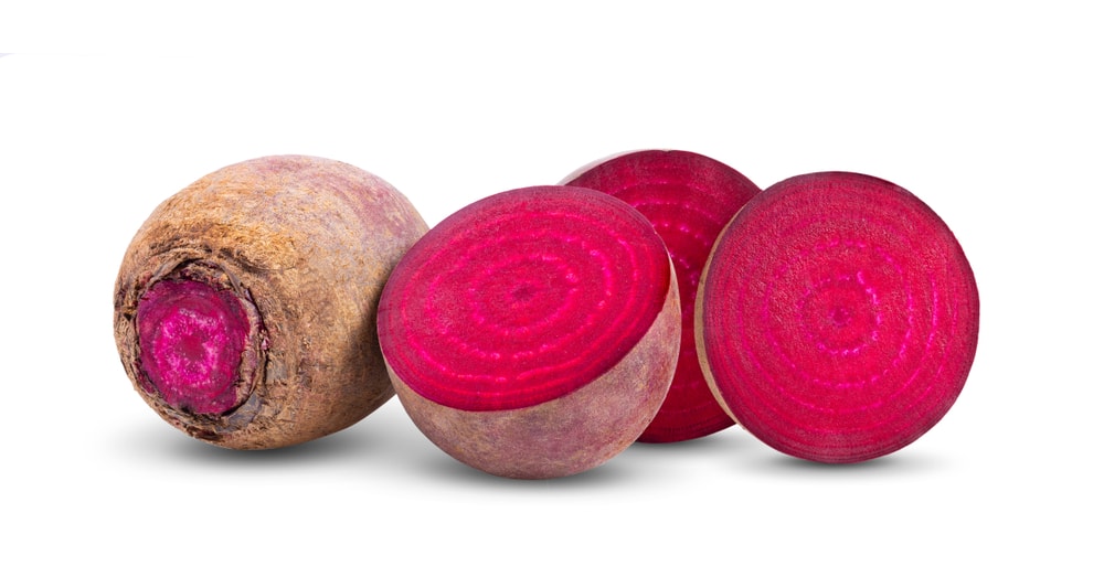 Can dogs Eat Beetroot? » Petsoid