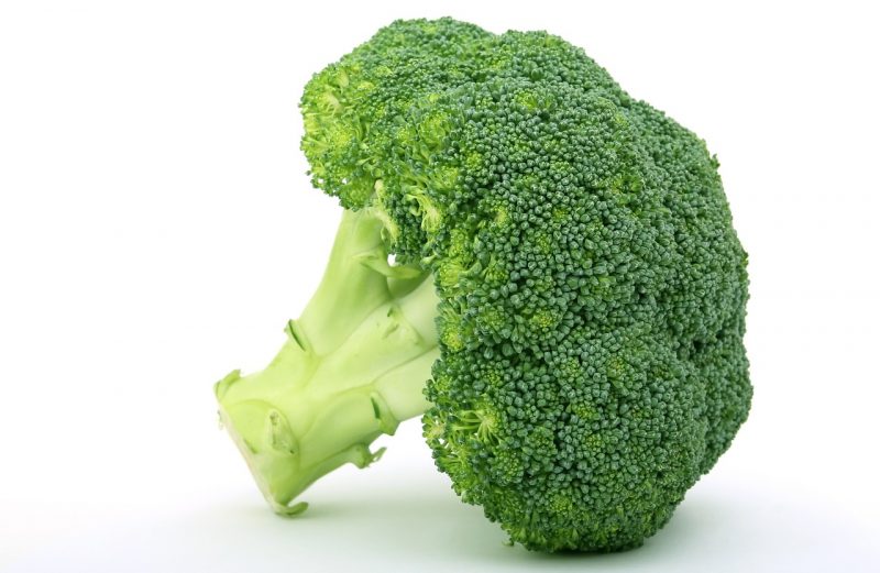 Can dogs Eat Broccoli? - The PetVerse