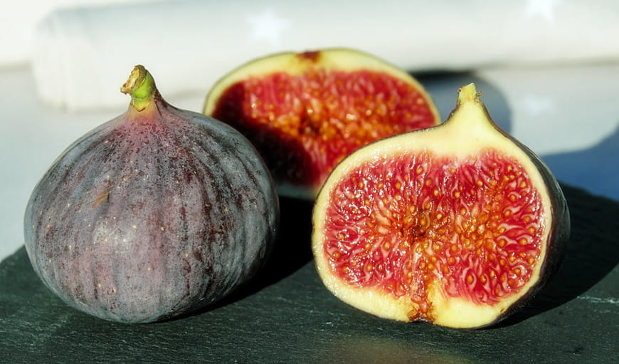 Can Dogs Eat Figs? | ebknows