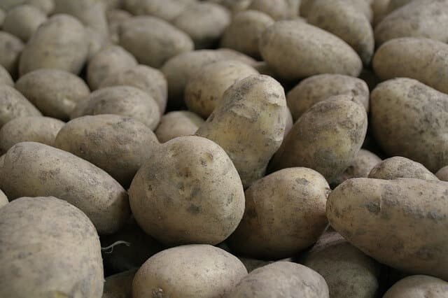 Can Rabbits Eat Potatoes - Rabbit Cages UK