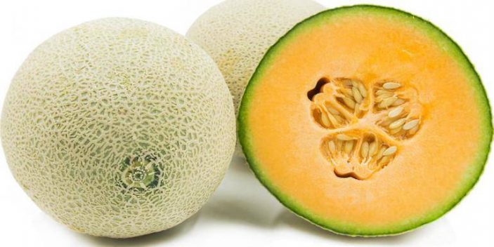 Now That They Love Them, Can Cats Eat Cantaloupe? | Pet Care Advisors