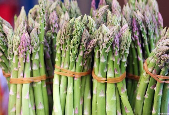 Can Rabbits Eat Asparagus Shoots? | Pet Care Advisors