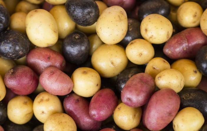 Can Rabbits Eat Potato, Potato Chips or Leaves?