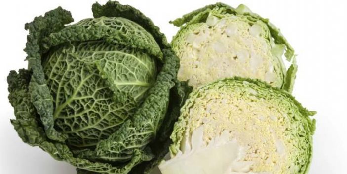 Can Cats Eat Cabbage? | Pet Care Advisors