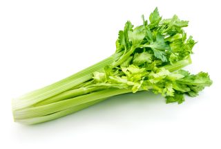 Celery: Health Benefits & Nutrition Facts | Live Science
