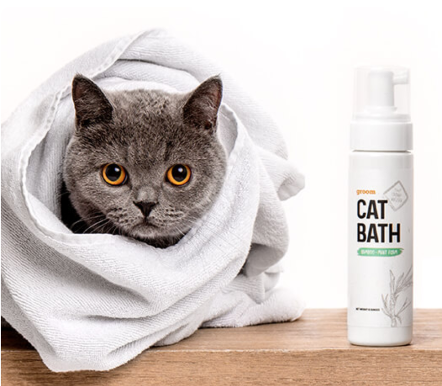 How To Give a Cat a Bath | Learn more on Litter-Robot Blog