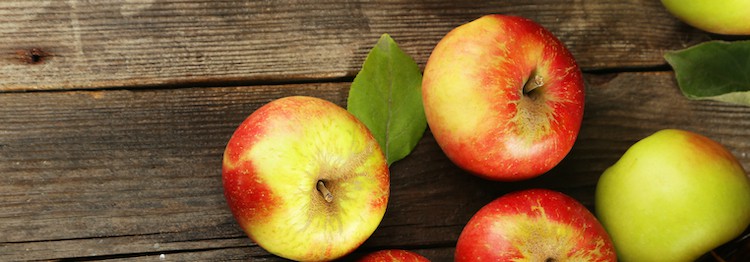 Can dogs Eat Apples? Vets explain which parts are OK