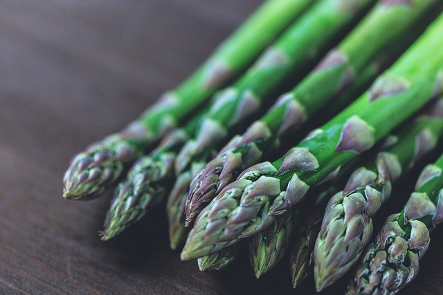 Can Dogs Eat Asparagus? Serving Suggestions and What to Watch For