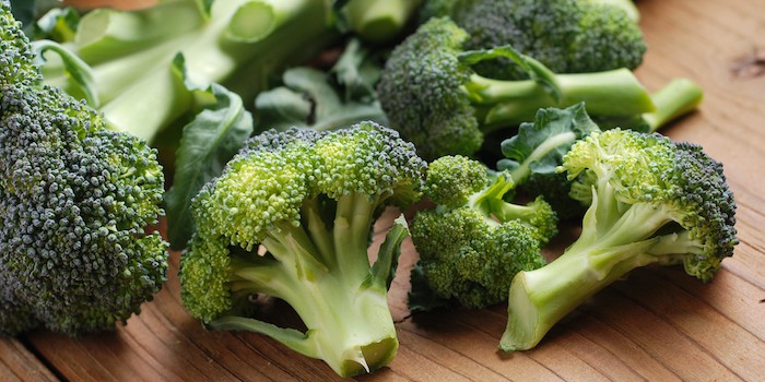 Can dogs Eat Broccoli? | Vet-Approved Feeding Guide