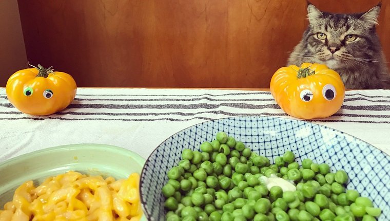 Can Cats Eat Peas? Are Peas Safe For Cats? - CatTime