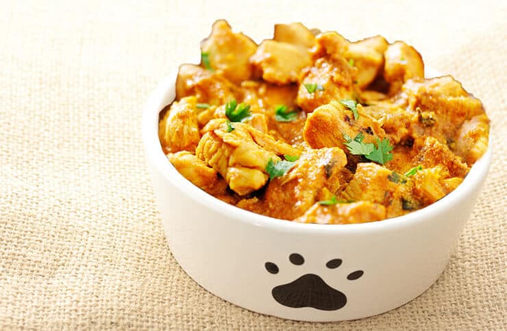 Can Dogs Eat Curry? How Curry Ingredients Affect Dogs