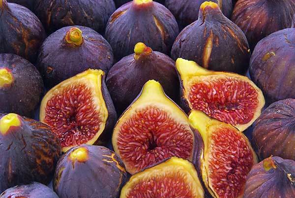 Can Dogs Eat Figs? Is This Fruit Good for Your Pup?