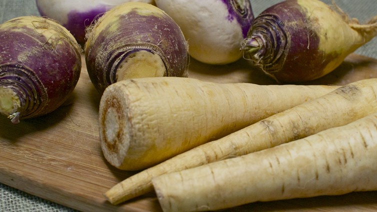 Can Dogs Eat Parsnips And Turnips? 