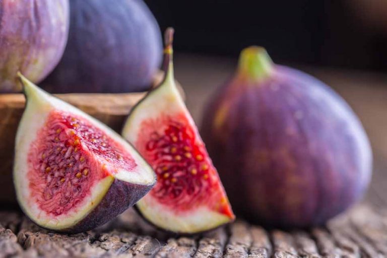 Can Dogs Eat Figs | Pet Friendly House