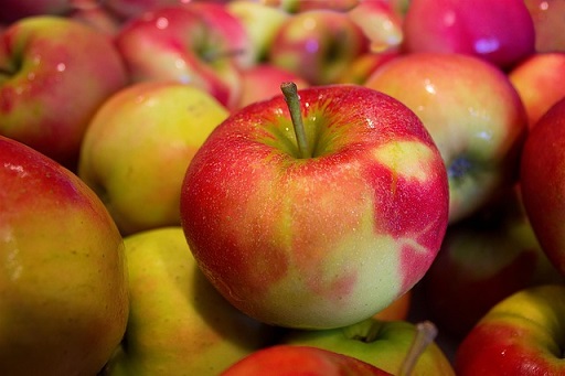 Can Rats Eat Apples And Their Seeds?