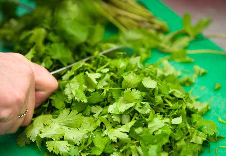 Love It or Hate It — The Great Cilantro Debate – Health Essentials from Cleveland Clinic