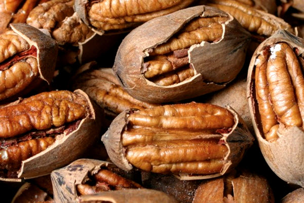 Georgia Pecans: What's Going on With the Market? – AgFax