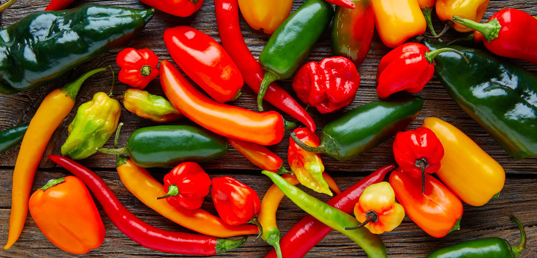 The Complete Pepper Guide | TLC Garden Centers