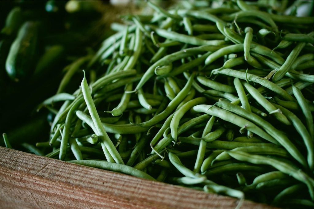 Can dogs Eat Green Beans? - All About Health