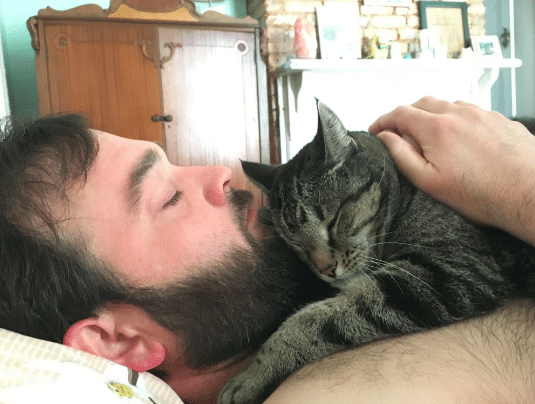 Why Does My Cat Sleep On My Chest Petschoolclassroom