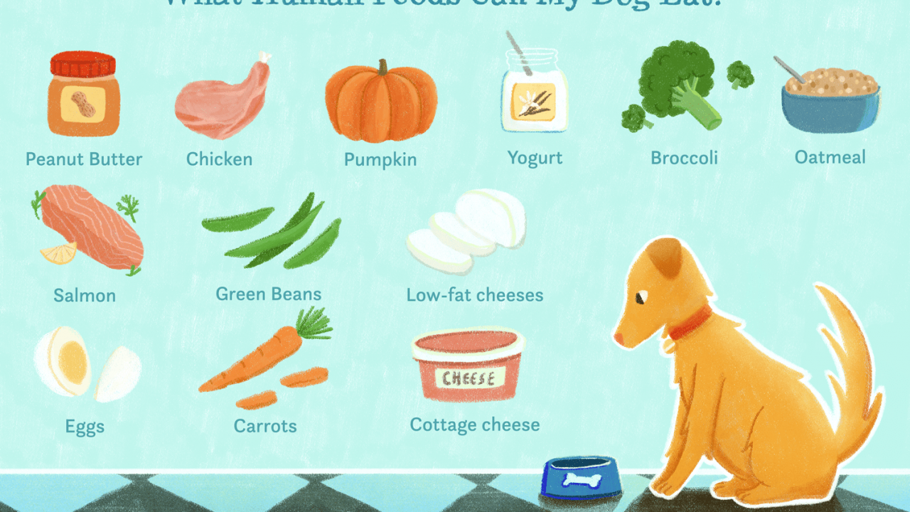 15 Human Foods Dogs Can Eat and 6 They Shouldn&#39;t