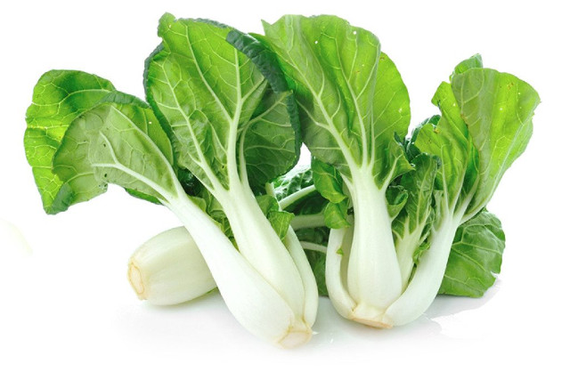 Can Rabbits Eat Bok Choy? | rabbits.life