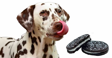 2021] Can Dogs Eat Oreos Cookies | Is Oreos Good For Dogs
