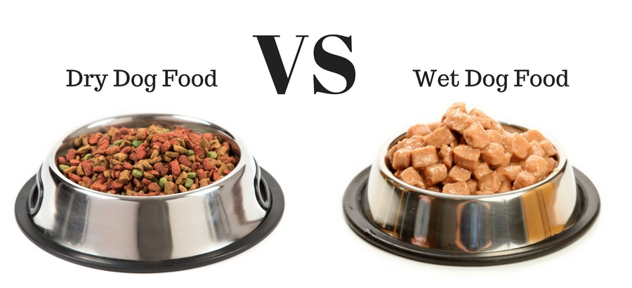 Wet Food vs. Dry Dog Food: Which is Best For Your Pet? - Paw Castle