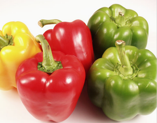 Can Dogs Eat Bell Peppers: Green, Red or Yellow?