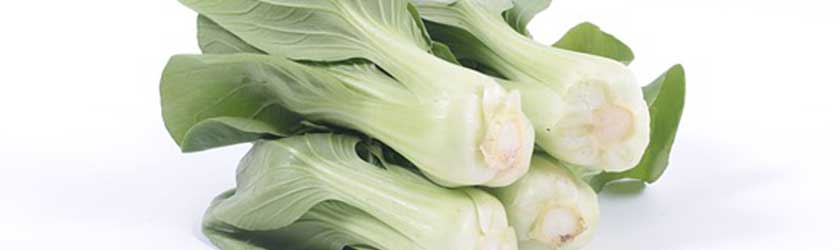 Can Rabbits Eat Bok Choy? - Furry Facts
