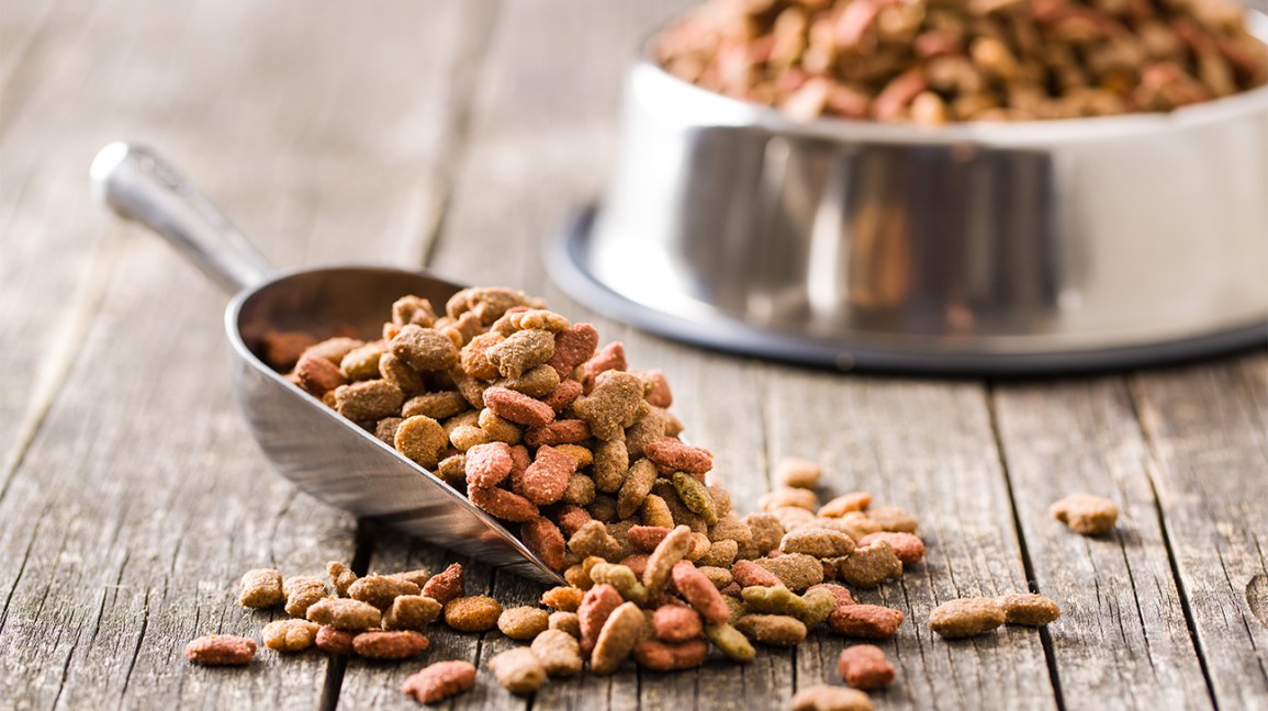 Can Humans Eat Dog Food?