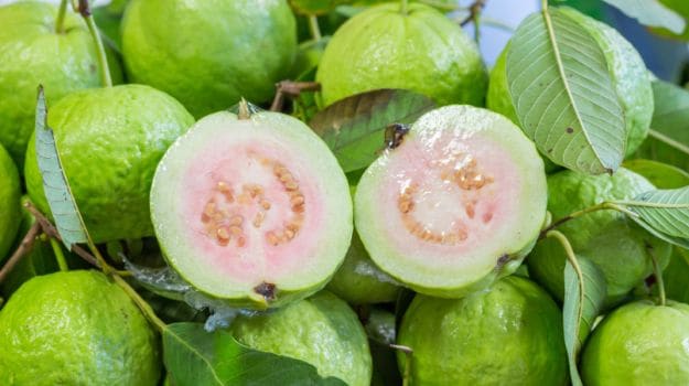 15 Amazing Guava Benefits: Heart Healthy, Weight Loss Friendly and More - NDTV Food