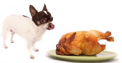 DogAware.com: Homemade Diets for Dogs