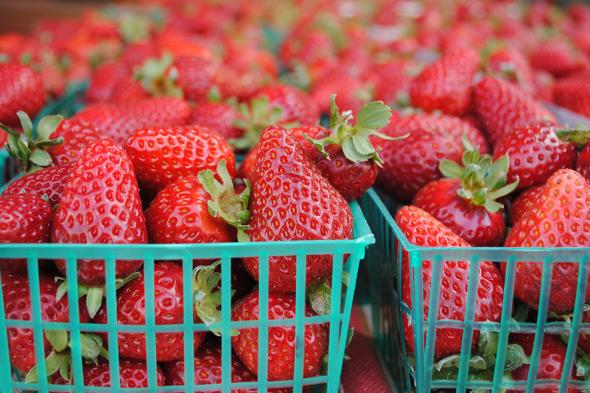 Strawberries | CUESA