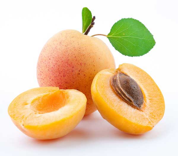 Can Dogs Eat Apricots? Are they Good or Bad for Dogs? | alldogsworld.com