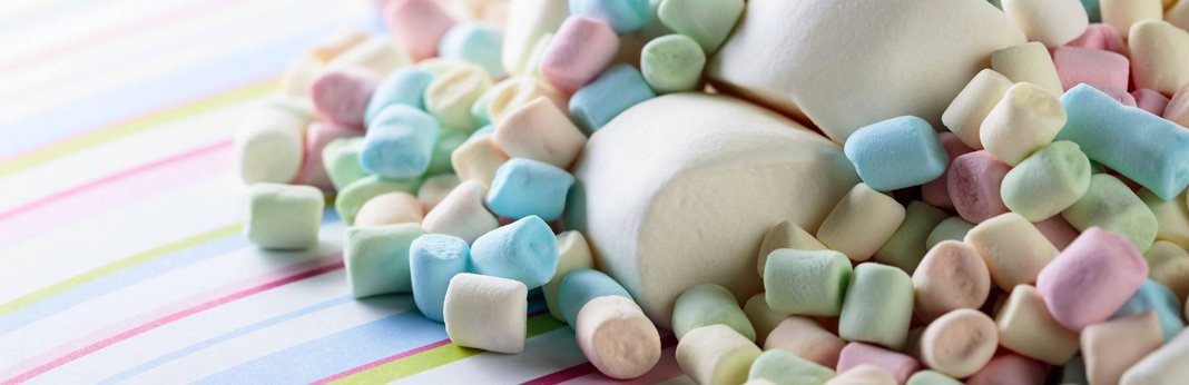 Can Dogs Eat Marshmallows? (Nutrition Guide) | My Pet Needs That