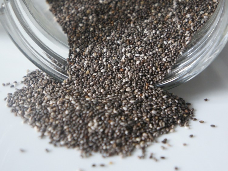 Can birds eat chia seeds? – Critter clean out