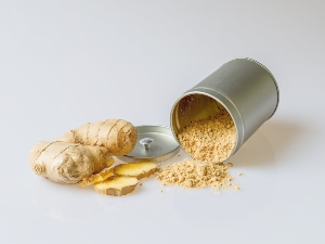 Can birds eat ginger? – Critter clean out