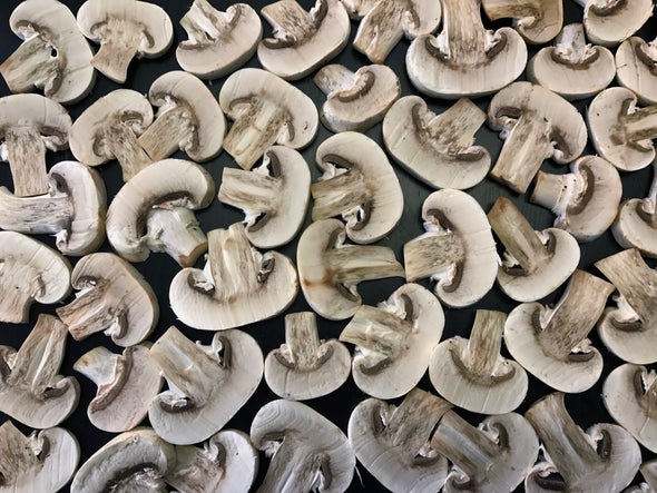 Raw Mushrooms: Hazardous or Harmless? - Scientific American