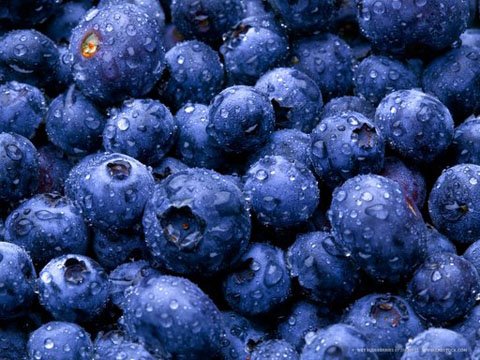Amazon.com: BLUEBERRIES FRESH PRODUCE FRUIT VEGETABLES PINT 10 OZ : Grocery  &amp; Gourmet Food