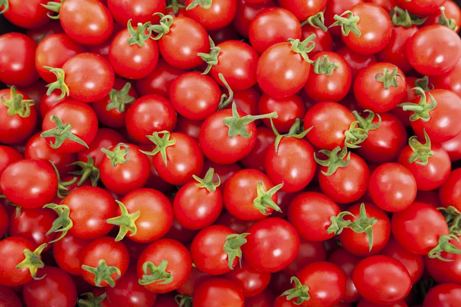 Cherry tomato – Millennium International Import &amp; Export